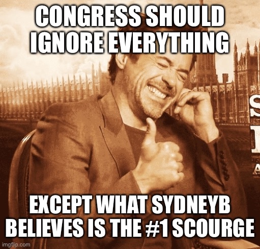 laughing | CONGRESS SHOULD IGNORE EVERYTHING EXCEPT WHAT SYDNEYB BELIEVES IS THE #1 SCOURGE | image tagged in laughing | made w/ Imgflip meme maker