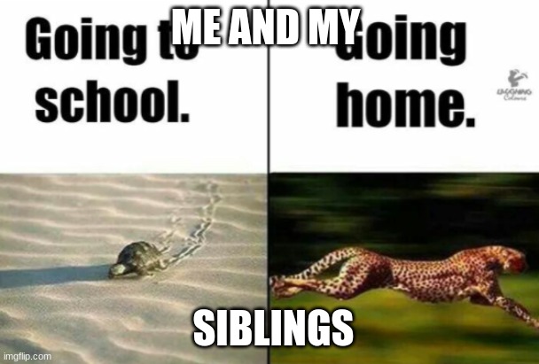 how students act | ME AND MY; SIBLINGS | image tagged in funny | made w/ Imgflip meme maker