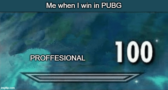 Skyrim skill meme | Me when I win in PUBG; PROFFESIONAL | image tagged in skyrim skill meme | made w/ Imgflip meme maker