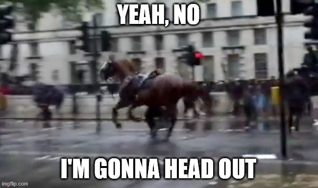 london horse | YEAH, NO; I'M GONNA HEAD OUT | image tagged in politics,horses,humor,memes,protests,fun | made w/ Imgflip meme maker
