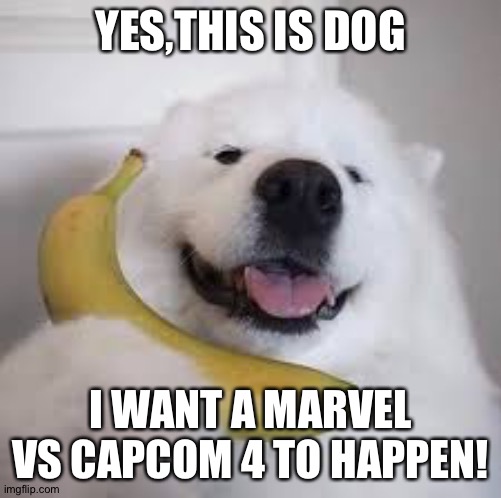 Yes, This is Dog | YES,THIS IS DOG; I WANT A MARVEL VS CAPCOM 4 TO HAPPEN! | image tagged in yes this is dog | made w/ Imgflip meme maker