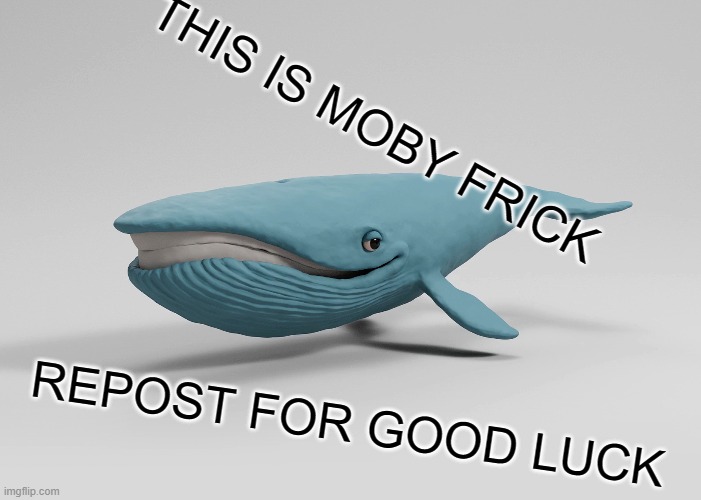 moby frick | THIS IS MOBY FRICK; REPOST FOR GOOD LUCK | image tagged in whale,whales,surreal,repost,water,funny | made w/ Imgflip meme maker