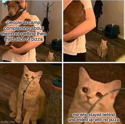 Cat Left Out Crying | people at camp complaining about them not getting their third slice of pizza; me who stayed behind and ended up with no pizza | image tagged in cat left out crying | made w/ Imgflip meme maker