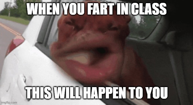 dog | WHEN YOU FART IN CLASS; THIS WILL HAPPEN TO YOU | image tagged in funny memes | made w/ Imgflip meme maker