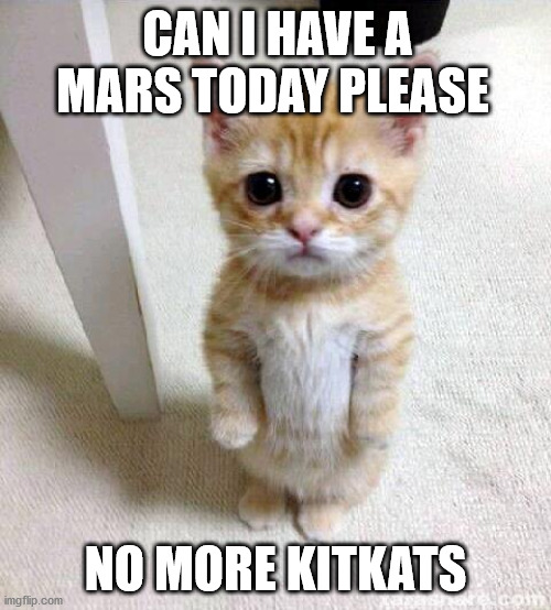 Cute Cat Meme | CAN I HAVE A MARS TODAY PLEASE; NO MORE KITKATS | image tagged in memes,cute cat | made w/ Imgflip meme maker