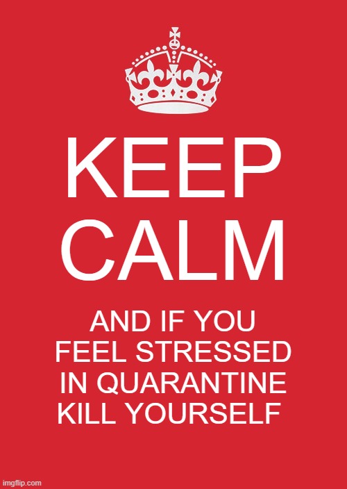 Keep Calm And Carry On Red Meme | KEEP CALM; AND IF YOU FEEL STRESSED IN QUARANTINE
KILL YOURSELF | image tagged in memes,keep calm and carry on red | made w/ Imgflip meme maker