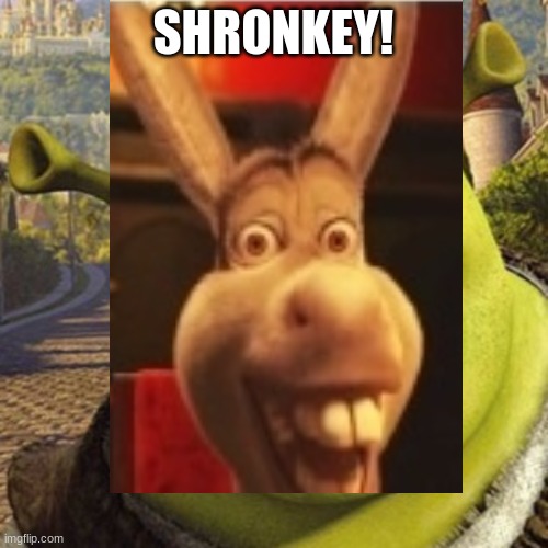 Teacher: why are you laughing? Me: | SHRONKEY! | image tagged in shrek,donkey,laughing | made w/ Imgflip meme maker