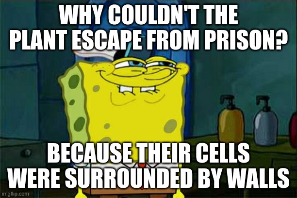 Don't You Squidward | WHY COULDN'T THE PLANT ESCAPE FROM PRISON? BECAUSE THEIR CELLS WERE SURROUNDED BY WALLS | image tagged in memes,don't you squidward | made w/ Imgflip meme maker