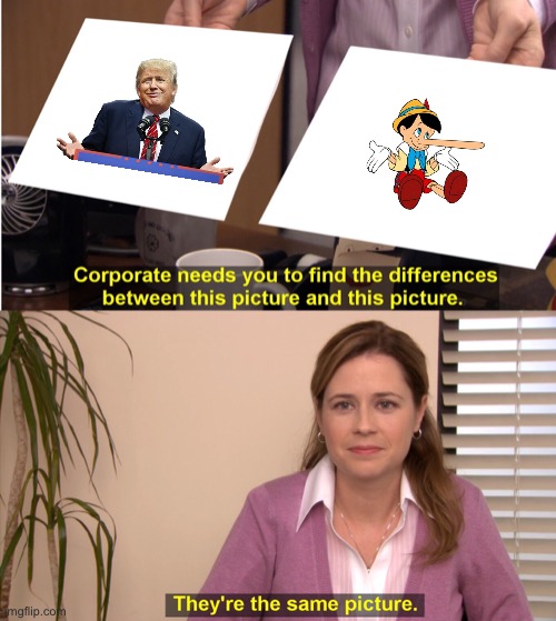 pam theyre the same picture | image tagged in pam theyre the same picture | made w/ Imgflip meme maker