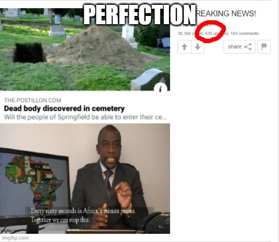 Perfection | PERFECTION | image tagged in perfection | made w/ Imgflip meme maker