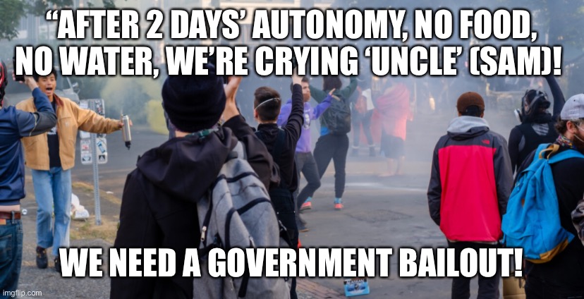 The Seattle Six Block Project | “AFTER 2 DAYS’ AUTONOMY, NO FOOD, NO WATER, WE’RE CRYING ‘UNCLE’ (SAM)! WE NEED A GOVERNMENT BAILOUT! | image tagged in the seattle six block project | made w/ Imgflip meme maker