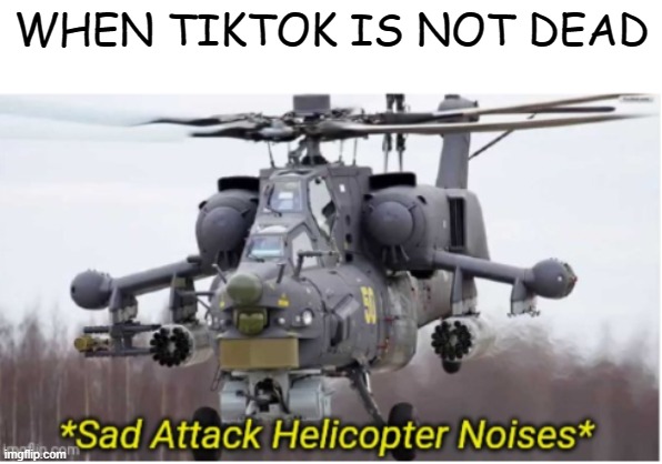 it should be | WHEN TIKTOK IS NOT DEAD | image tagged in sad attack helicopter noises | made w/ Imgflip meme maker