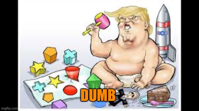 DUMB | made w/ Imgflip meme maker