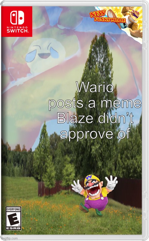 Never do that | Wario posts a meme Blaze didn’t approve of | made w/ Imgflip meme maker