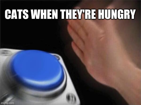 Blank Nut Button | CATS WHEN THEY'RE HUNGRY | image tagged in memes,blank nut button | made w/ Imgflip meme maker