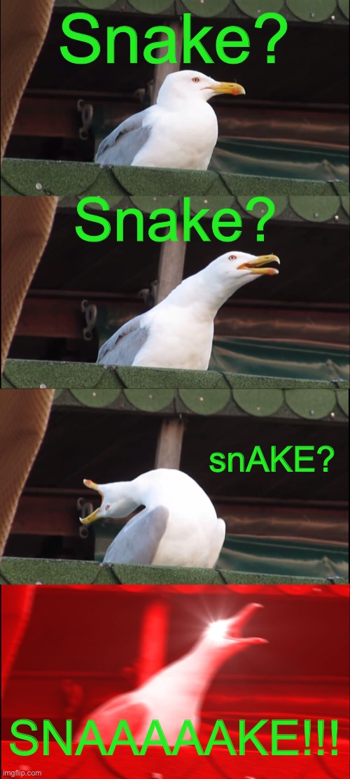 SNAAAAAAKE! | Snake? Snake? snAKE? SNAAAAAKE!!! | image tagged in memes,inhaling seagull | made w/ Imgflip meme maker