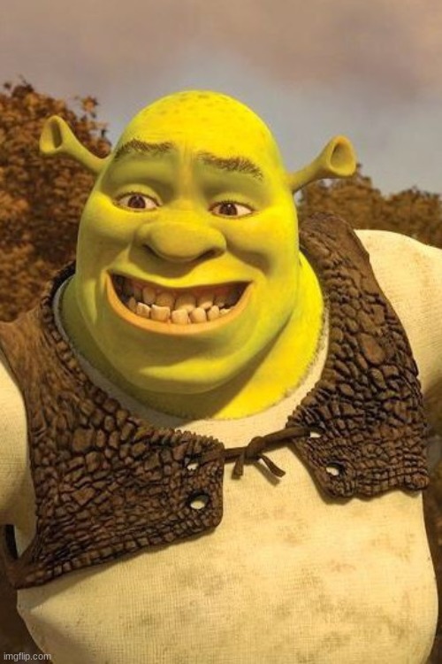 Smiling Shrek | image tagged in smiling shrek | made w/ Imgflip meme maker