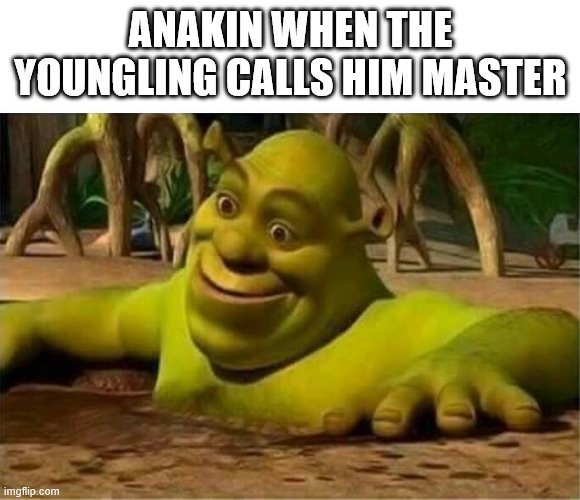shrek | ANAKIN WHEN THE YOUNGLING CALLS HIM MASTER | image tagged in shrek | made w/ Imgflip meme maker