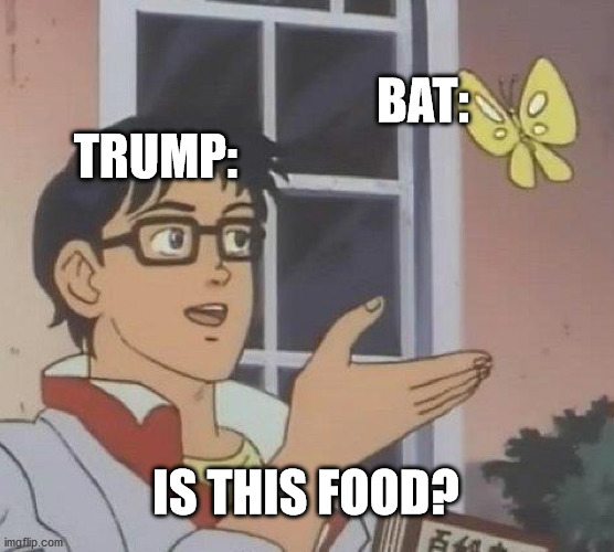 Is This A Pigeon | BAT:; TRUMP:; IS THIS FOOD? | image tagged in memes,is this a pigeon | made w/ Imgflip meme maker