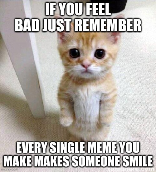 Except for upvote begging and reposts | IF YOU FEEL BAD JUST REMEMBER; EVERY SINGLE MEME YOU MAKE MAKES SOMEONE SMILE | image tagged in memes,cute cat,wholesome | made w/ Imgflip meme maker
