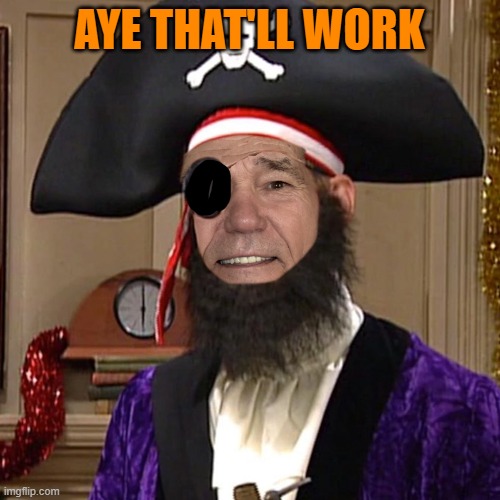 AYE THAT'LL WORK | image tagged in kewlew as pirate | made w/ Imgflip meme maker