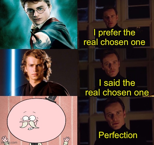 The real chosen one | I prefer the real chosen one; I said the real chosen one; Perfection | image tagged in perfection | made w/ Imgflip meme maker