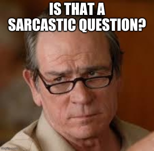 my face when someone asks a stupid question | IS THAT A SARCASTIC QUESTION? | image tagged in my face when someone asks a stupid question | made w/ Imgflip meme maker