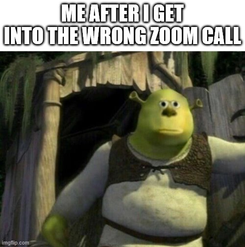 Shrek | ME AFTER I GET INTO THE WRONG ZOOM CALL | image tagged in shrek | made w/ Imgflip meme maker