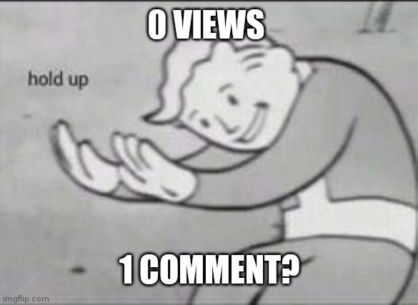 Fallout Hold Up | 0 VIEWS; 1 COMMENT? | image tagged in fallout hold up | made w/ Imgflip meme maker