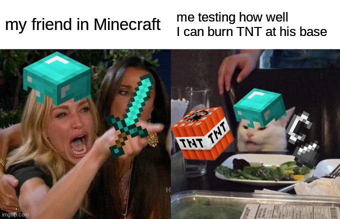 Woman Yelling At Cat | my friend in Minecraft; me testing how well I can burn TNT at his base | image tagged in memes,woman yelling at cat | made w/ Imgflip meme maker