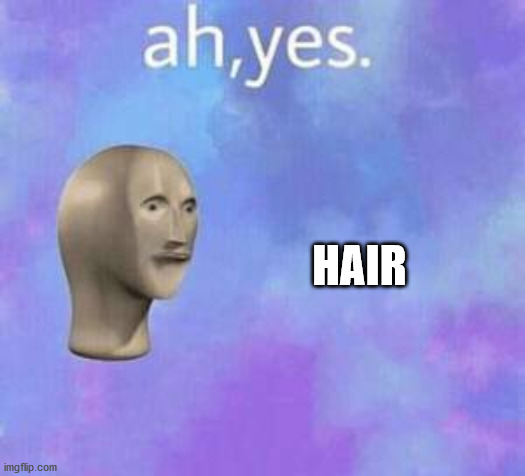 Ah yes | HAIR | image tagged in ah yes | made w/ Imgflip meme maker