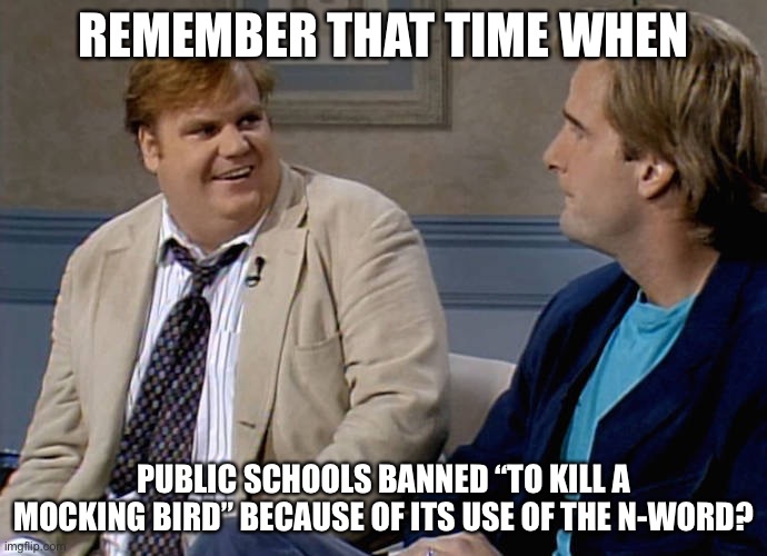 Remember that time | REMEMBER THAT TIME WHEN PUBLIC SCHOOLS BANNED “TO KILL A MOCKING BIRD” BECAUSE OF ITS USE OF THE N-WORD? | image tagged in remember that time | made w/ Imgflip meme maker