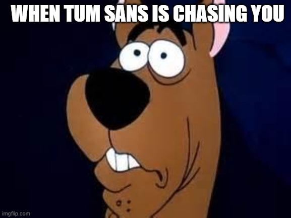 C.S Chase | WHEN TUM SANS IS CHASING YOU | image tagged in scooby doo surprised | made w/ Imgflip meme maker
