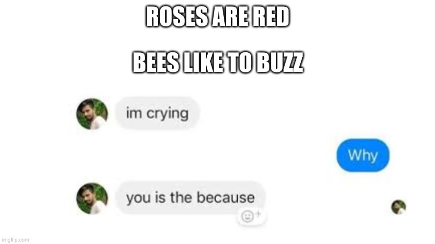 Why do I do this lol | ROSES ARE RED; BEES LIKE TO BUZZ | image tagged in memes,roses are red | made w/ Imgflip meme maker