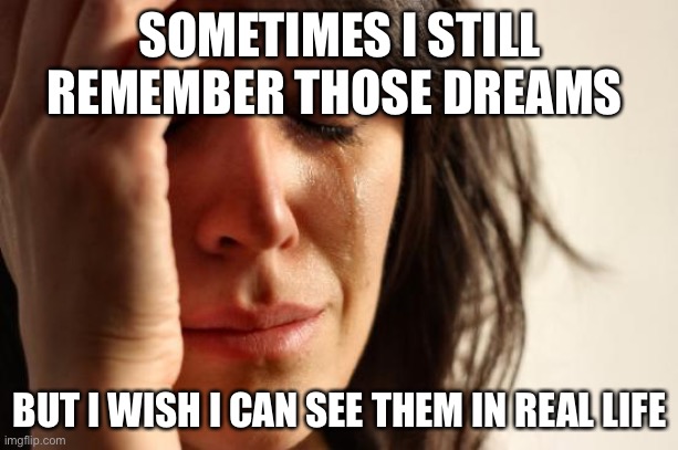 SOMETIMES I STILL REMEMBER THOSE DREAMS BUT I WISH I CAN SEE THEM IN REAL LIFE | image tagged in memes,first world problems | made w/ Imgflip meme maker