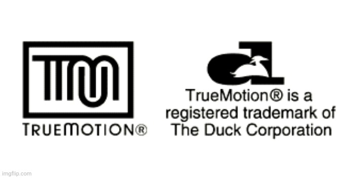 TrueMotion Duck Corporation | image tagged in truemotion duck corporation | made w/ Imgflip meme maker