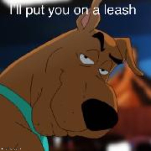 Scooby doo finna clap dose cheeks | image tagged in scooby doo | made w/ Imgflip meme maker