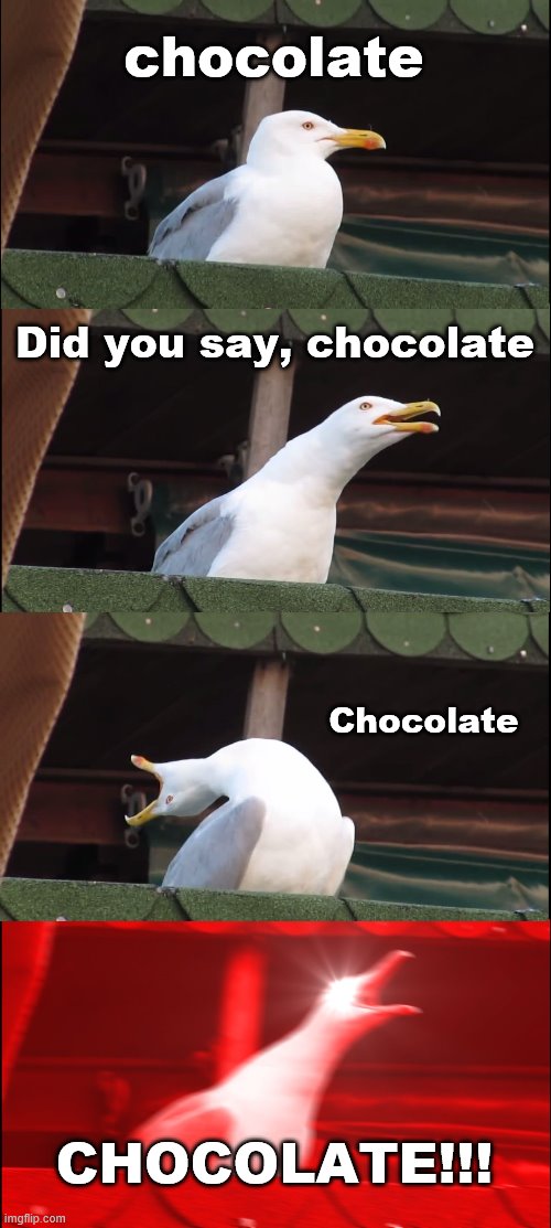 Inhaling Seagull | chocolate; Did you say, chocolate; Chocolate; CHOCOLATE!!! | image tagged in memes,inhaling seagull | made w/ Imgflip meme maker