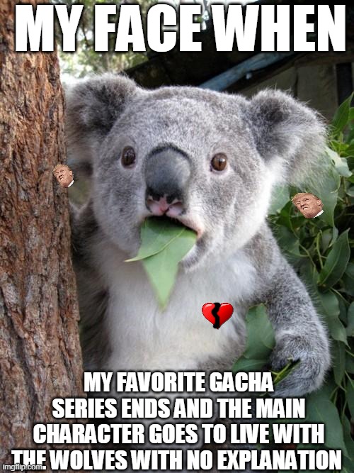Surprised Koala | MY FACE WHEN; MY FAVORITE GACHA SERIES ENDS AND THE MAIN CHARACTER GOES TO LIVE WITH THE WOLVES WITH NO EXPLANATION | image tagged in memes,surprised koala,relatable | made w/ Imgflip meme maker