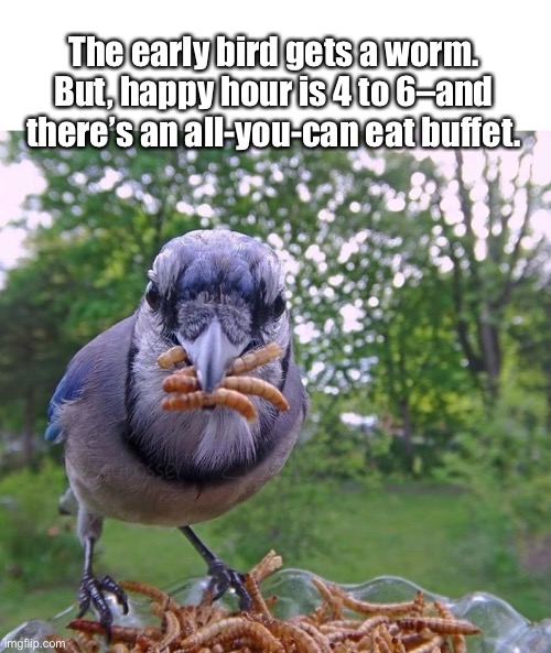 The Late Afternoon Bird | The early bird gets a worm. But, happy hour is 4 to 6–and there’s an all-you-can eat buffet. | image tagged in funny memes,birds | made w/ Imgflip meme maker