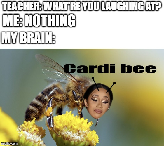 "Makeup makeup, I am pretty, I am pretty, BZZZZZZZZZZZ!" | TEACHER: WHAT'RE YOU LAUGHING AT? ME: NOTHING; MY BRAIN: | image tagged in bee,cardi b,thank you for reading the tags i guess | made w/ Imgflip meme maker