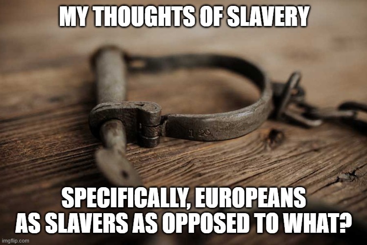 politics | MY THOUGHTS OF SLAVERY; SPECIFICALLY, EUROPEANS AS SLAVERS AS OPPOSED TO WHAT? | image tagged in political meme | made w/ Imgflip meme maker