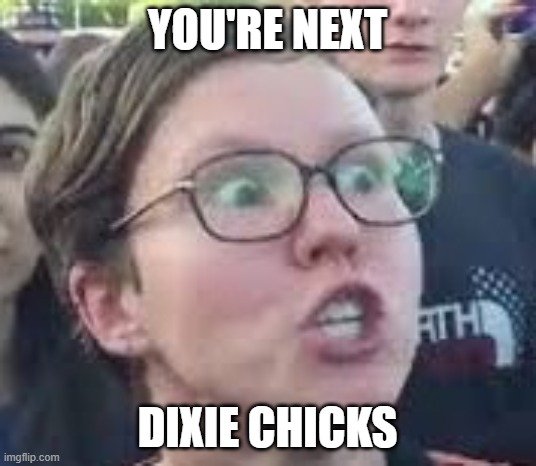 SJW | YOU'RE NEXT; DIXIE CHICKS | image tagged in sjw,politics,racism,racist | made w/ Imgflip meme maker
