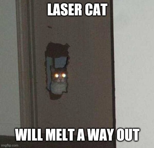 LET THE LAZER KITTY OUT | LASER CAT; WILL MELT A WAY OUT | image tagged in cats,funny cats | made w/ Imgflip meme maker