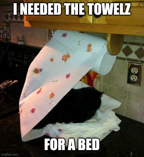 CATS LAY ANYWHERE | I NEEDED THE TOWELZ; FOR A BED | image tagged in cats,funny cats | made w/ Imgflip meme maker