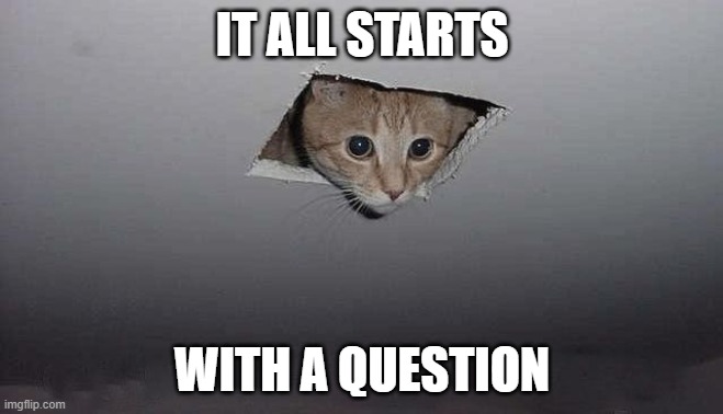 Curiosity | IT ALL STARTS; WITH A QUESTION | image tagged in gato curioso | made w/ Imgflip meme maker