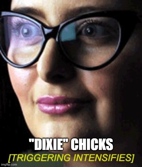 Triggered | "DIXIE" CHICKS | image tagged in triggered,sjw | made w/ Imgflip meme maker
