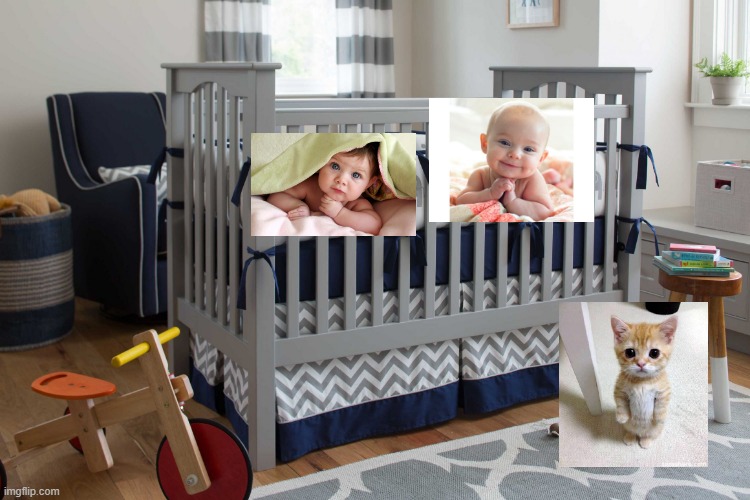 the babies and the cat | image tagged in baby bedroom crib | made w/ Imgflip meme maker