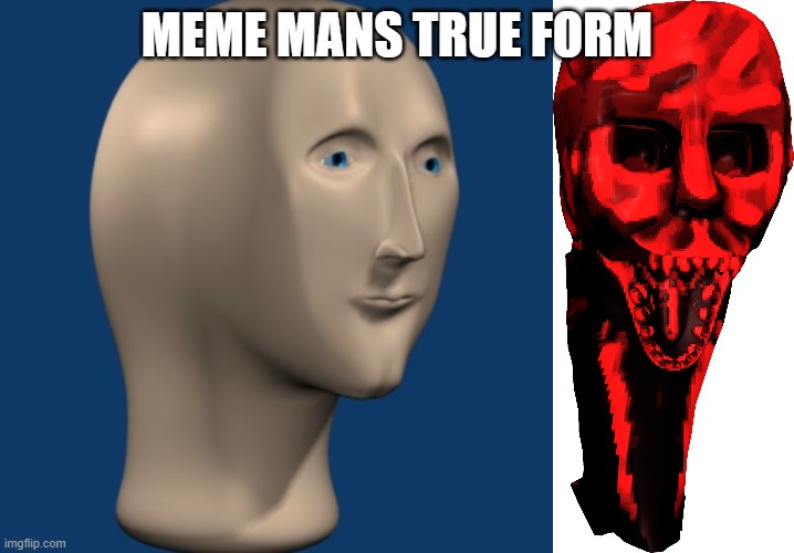 Suor leemn | MEME MANS TRUE FORM | image tagged in meme man,memes | made w/ Imgflip meme maker