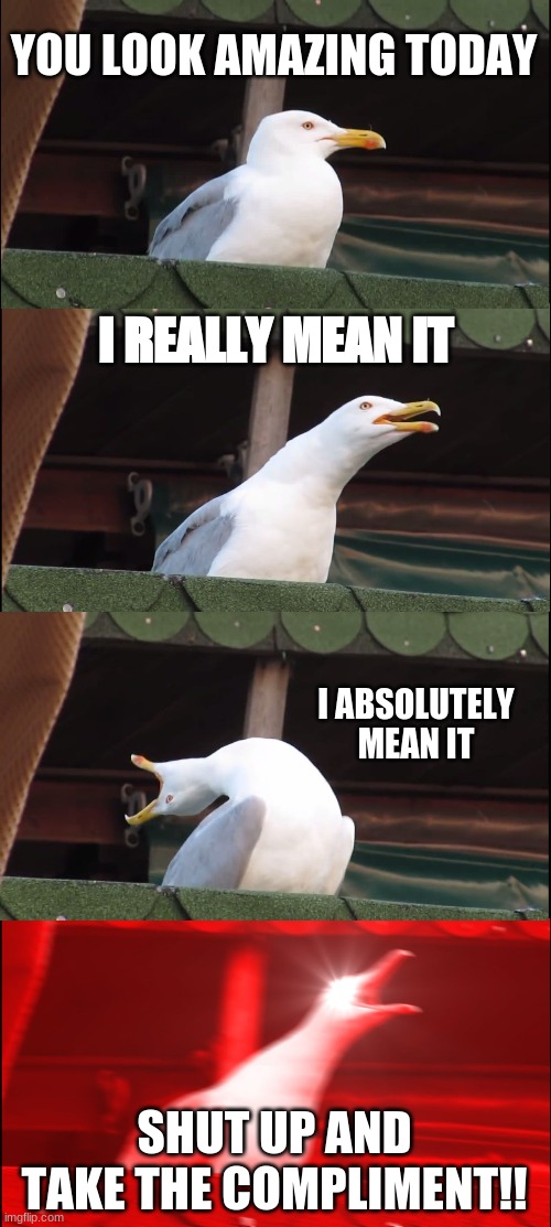 Inhaling Seagull Meme | YOU LOOK AMAZING TODAY; I REALLY MEAN IT; I ABSOLUTELY MEAN IT; SHUT UP AND TAKE THE COMPLIMENT!! | image tagged in memes,inhaling seagull | made w/ Imgflip meme maker